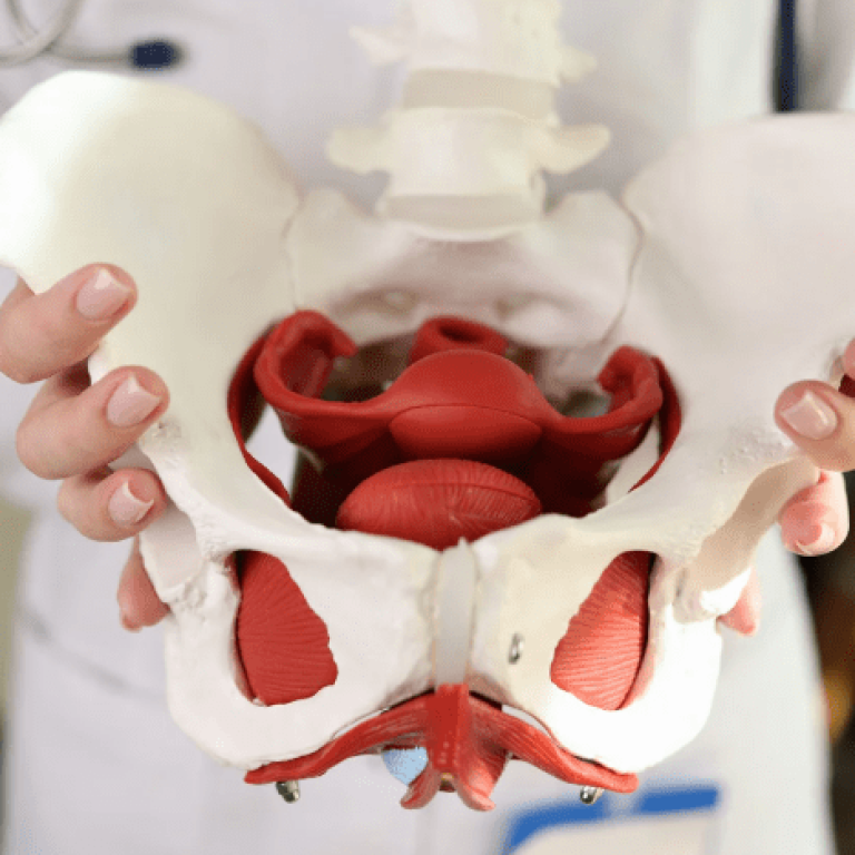 Pelvic Floor Tightening